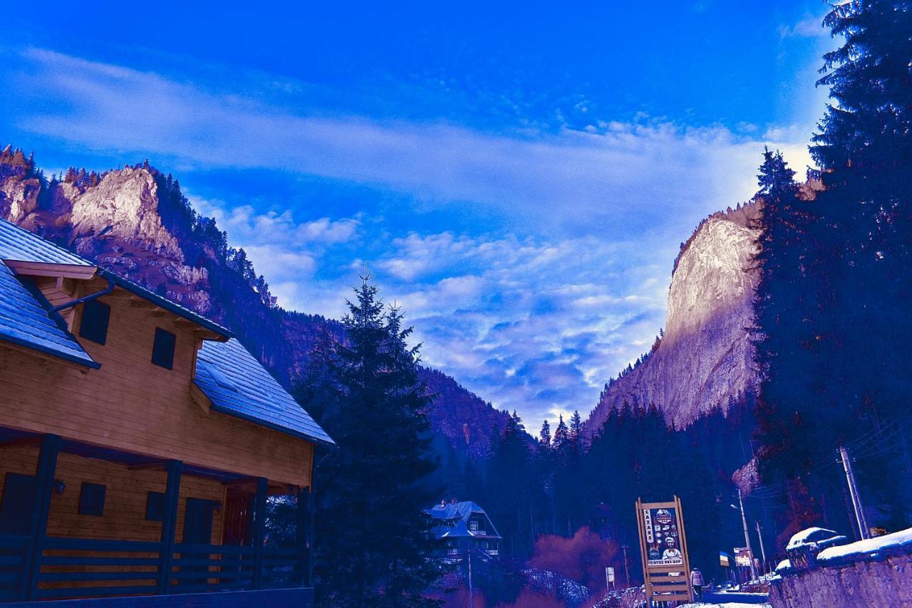 Casa Bicajeanului - ラク・ロシュ エクステリア 写真