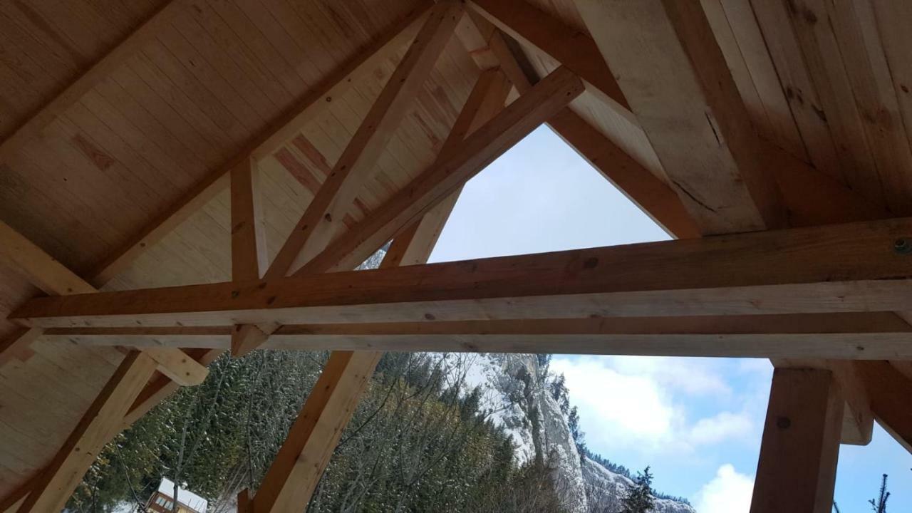 Casa Bicajeanului - ラク・ロシュ エクステリア 写真
